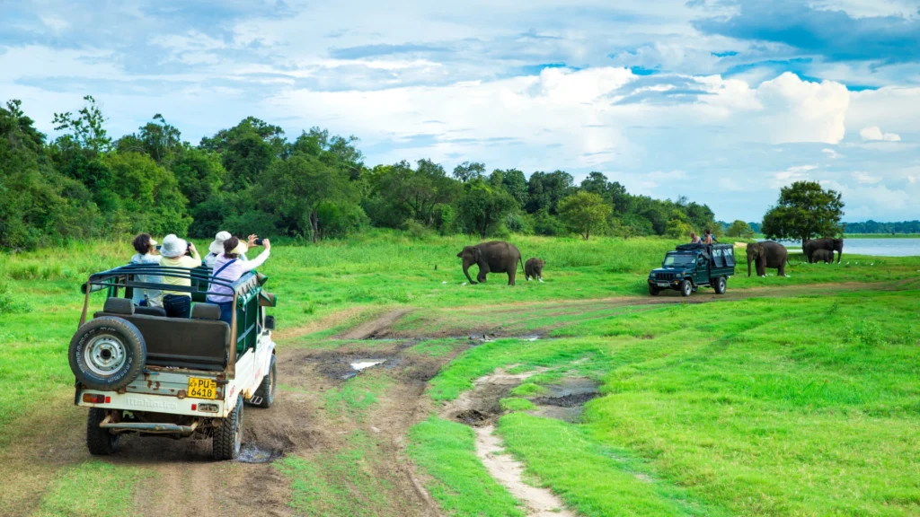 Minnariya National Park
